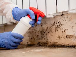 Best Residential Mold Inspection & Testing  in Blackwood, NJ